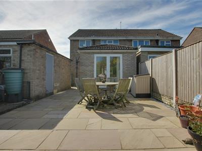 Picture 20